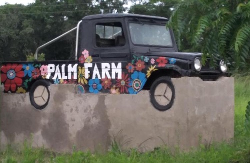 Kabwe Apartamento | Palm Farm Family House