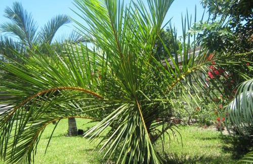 Richards Bay Casa | Palm Gardens Guesthouse