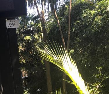 Palm Beach Apartamento | Palm Heights