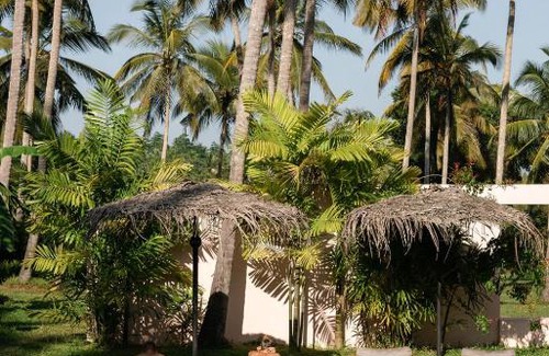 Ahangama Hotel | PALM Hotel
