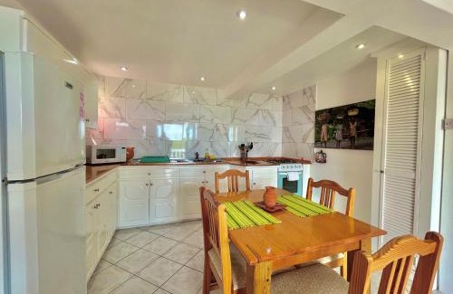 Friendship Apartamento | Palm house