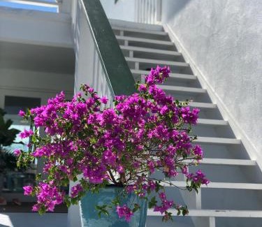Discovery Bay Apartamento | Palm Point Loft