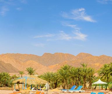 Nuweiba Otro | Palm Valley camp