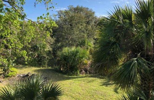Melbourne Village Apartamento | Palm View: Secluded Oasis in Melbourne Village