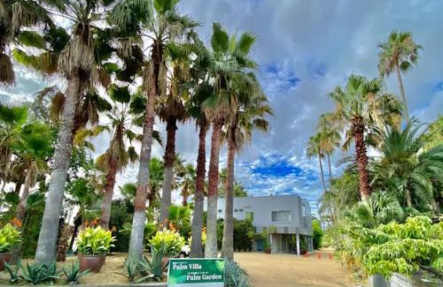 Chokushi Cho Casa | Palm Villa - Vacation STAY 12202