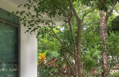 Puerto Morelos Apartamento | Palmera Estudio en Puerto Morelos @VillaNaktaan