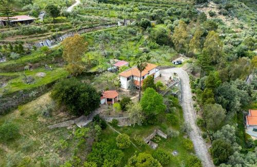 Santo Stefano di Camastra Apartamento | Panoramic Villa Fiore di Limone near Cefalú