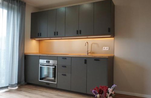 Fichtelberg Apartamento | Panorama Apart Fichtelberg
