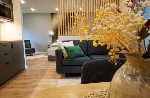 Fichtelberg Apartamento | Panorama Apart Fichtelberg