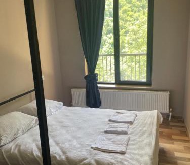 Likani Chalet De Esquí | Panorama Orcs