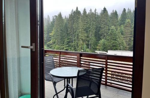Predeal Apartamento | Panorama Pine Retreat - Spacious 2-Bedroom Flat