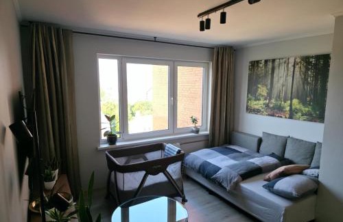 Jelgava Apartamento | Panorama Suite Jelgava
