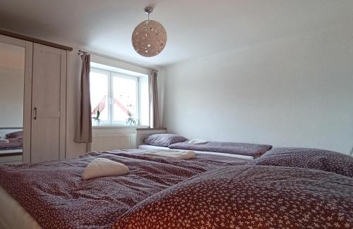 Nova Lesna Apartamento | Panoramatický apartmán Tatry