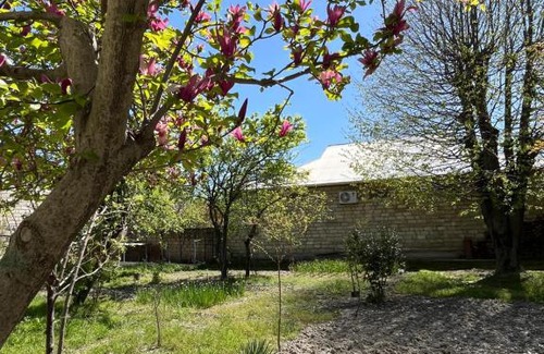 Sheki Casa | Panoramic House