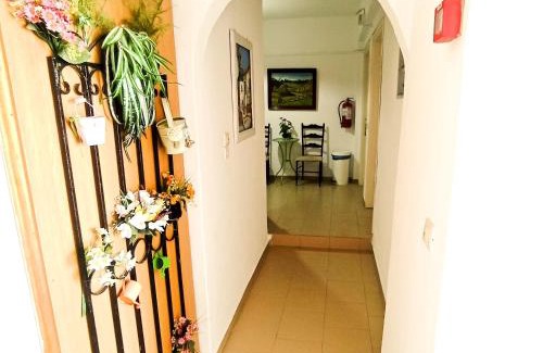 Skiathos Apartamento | PANSION KONSTANTINOS