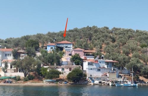 Mytilene Apartamento | Pansofia