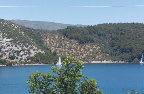 Mytilene Apartamento | Pansofia