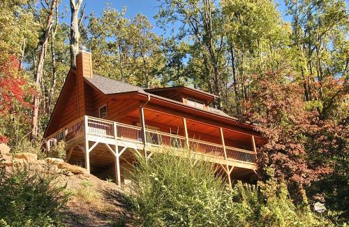 Black Mountain Casa | Panther Cat Perch