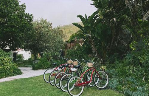 Knysna Apartamento | Panzi Garden Suite