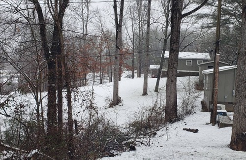 Qualla Cabina | Papa Bear Bear-a-Dice CABINS Hot tub firepit BBQ hiking trails near Cassino