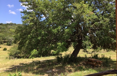Ingram Cabina | Palacio del Papa en Stacy Ranch, cabina en 120 acres entre Ingram y Hunt, TX