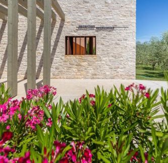 Vodnjan Otro | Papafigo Camping