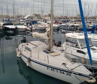 Torrevieja Alquiler De Eote | Papifrank