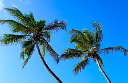 Ipitanga Casa | Paraíso da Bahia