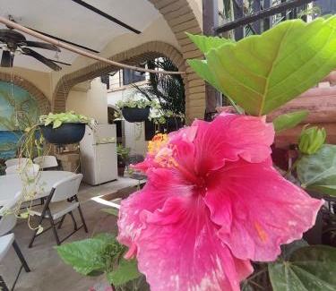 La Penita de Jaltemba Cama Y Desayuno | Paradise Apartments