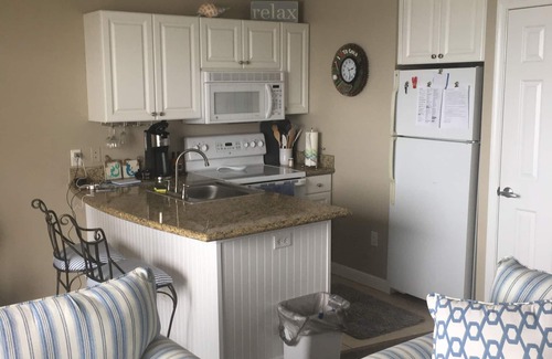 St. Petersburg - Clearwater Condominio | Paradise Found Pet Friendly