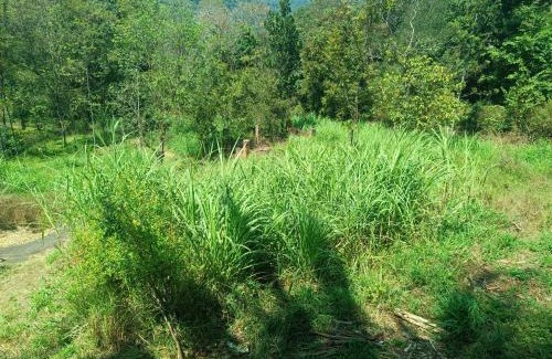 Kanthalloor Casa | Paradise Homestays, Kanthalloor