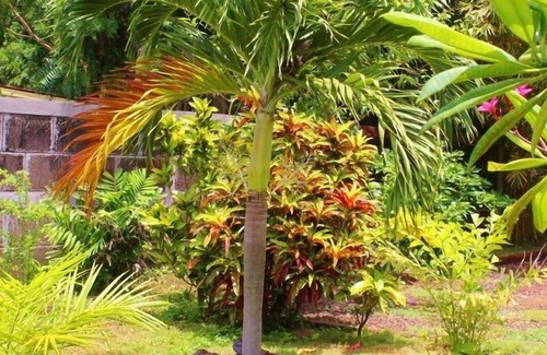 Pochomil Casa | Paraíso en Nicaragua! Hermosa casa frente al mar