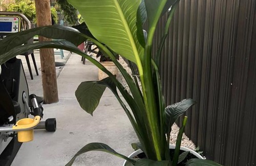 Golden Glades Casa | Paradise Oasis1
