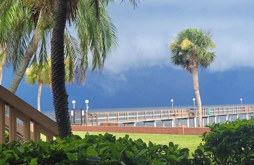 Greater Pinellas Point Condominio | Paradise on Tampa Bay in Beautiful and Vibrant St. Petersburg, Florida