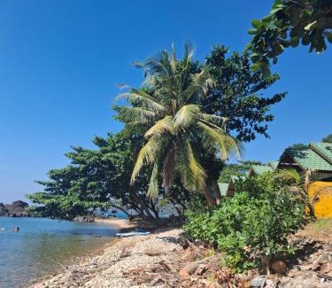 Ko Chang Complejo | Paradise Palms
