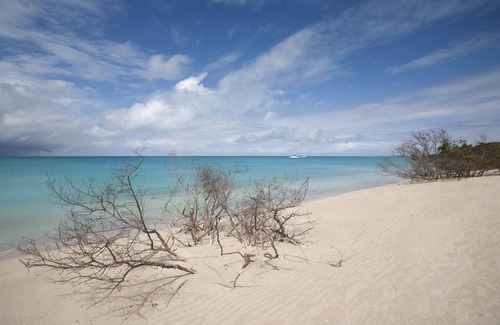 Barbuda Otro | Paradiseview