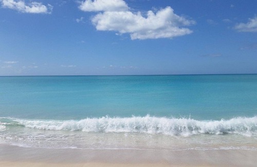 Barbuda Otro | Paradiseview
