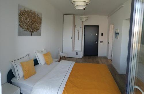 Baia Mare Apartamento | Parc Central Republicii 63