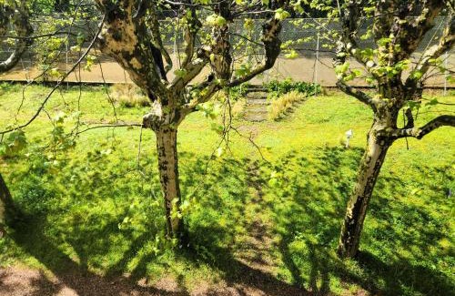 Vancia - Crepieux Cama Y Desayuno | Parc de Biodiversité Le Castel - Maison d'hôtes & Table Bio