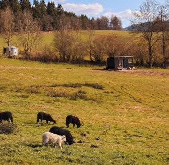Saint-Marcel-dʼUrfe Chalet De Esquí | Parcel Tiny House Péa au coeur de la Loire