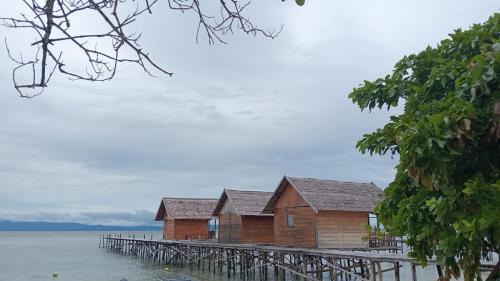 Arborek Casa | ParfrayHomestay Raja ampat
