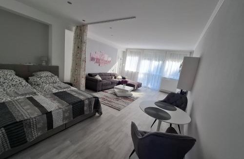 Kaposvar Apartamento | Park Apartman