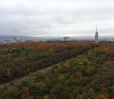 Sofia Hotel | Park Hotel Moskva