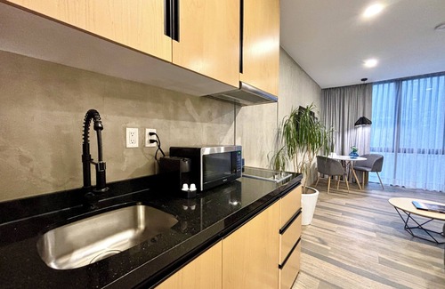 Colonia Condesa Apartamento | Park Life Condesa Hipódromo