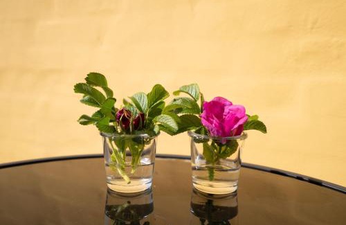 Bindslev Apartamento | Parkvejens feriebolig