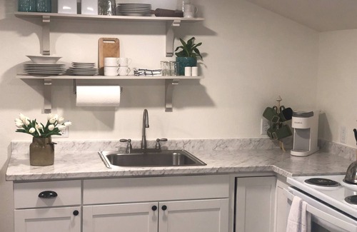 Viborg Cabaña | Parkview Cottage ~ Charming Tiny Home ~ Queen Bed!