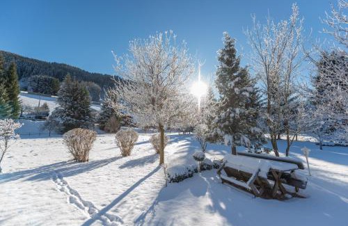 Schladming Hotel | PARKVILLA Vital