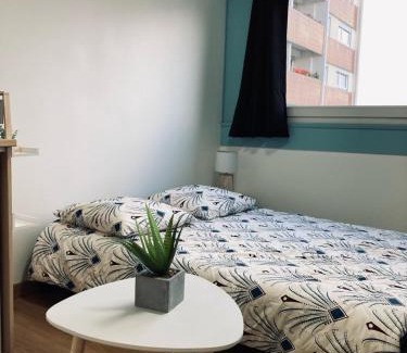 Schiltigheim Apartamento | Parlementaire européen, waken schiltigheim