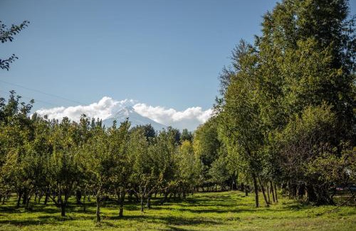 Melipeuco Casa | Parque Vera Cabaña 1