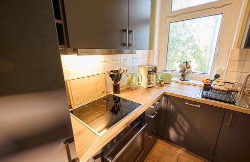 Schwerin Apartamento | Parrot in the old town of Schwerin - ABC569